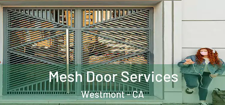 Mesh Door Services Westmont - CA